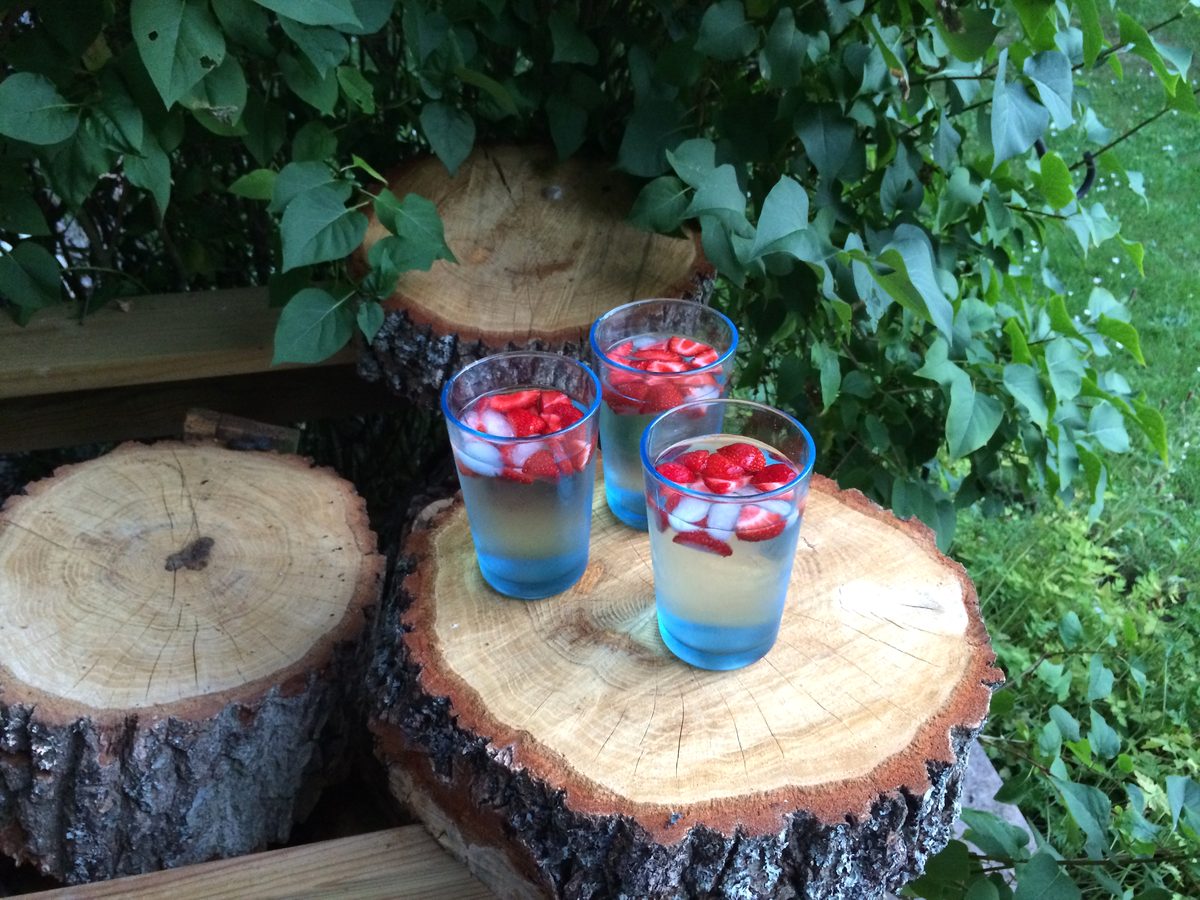 Sommergetränke auf einem Baumstamm-Tisch im Garten der Hütte